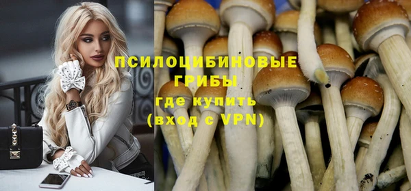 spice Нязепетровск