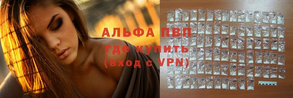 дживик Новозыбков