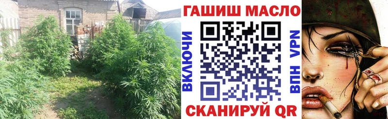 купить  цена  Свирск  ТГК концентрат 